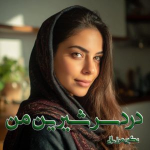 دانلود رمان دوجلدی دردسر شیرین من از نگین مرزبانی با لینک مستقیم